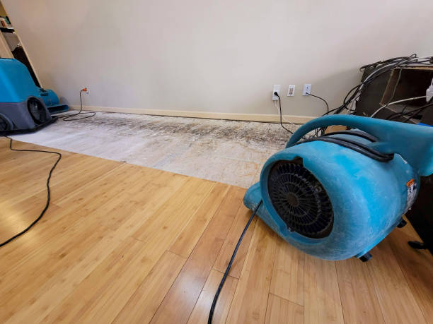 Professional Emergency Water Damage technician working in Bloomingdale, IL